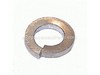 9872876-1-S-Ryobi-099078001031-Lock Washer (5 mm)